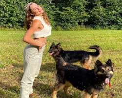 Bush's family is an animal lover and has adopted not one or two but five German shepherds.